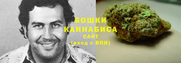 гидра Белоозёрский