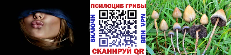 Купить  Касимов  Псилоцибиновые грибы прущие грибы 